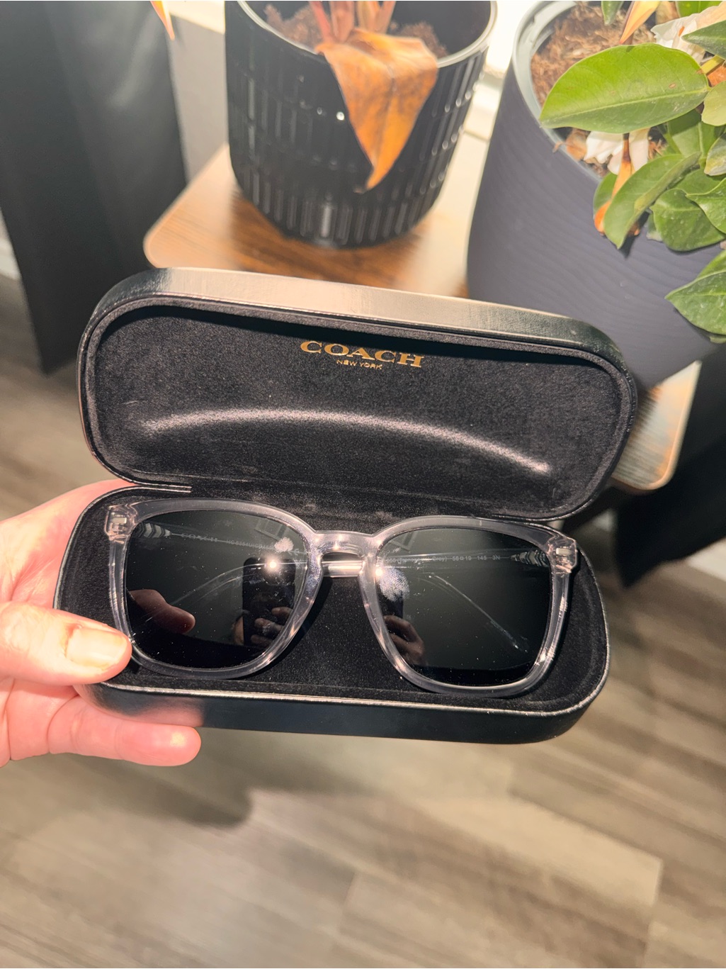 Coach Men’s Translucent Clear Frame Sunglasses With Black Lenses